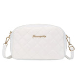 2024 Tassel Small Messenger Bag For Women Trend Lingge Embroidery Camera Female Shoulder Bag Fashion Chain Ladies Crossbody Bags